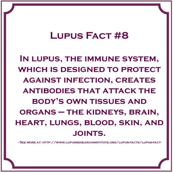 Meet your Posher, Shay - Picture 6 of 14